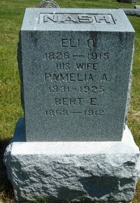 Eli Nash