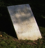 Sally Albro